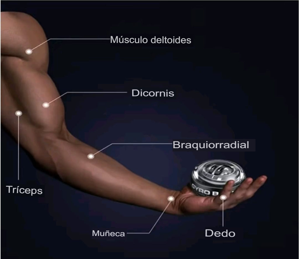 GyroFit - Gira, Cuenta Y Tonifica!